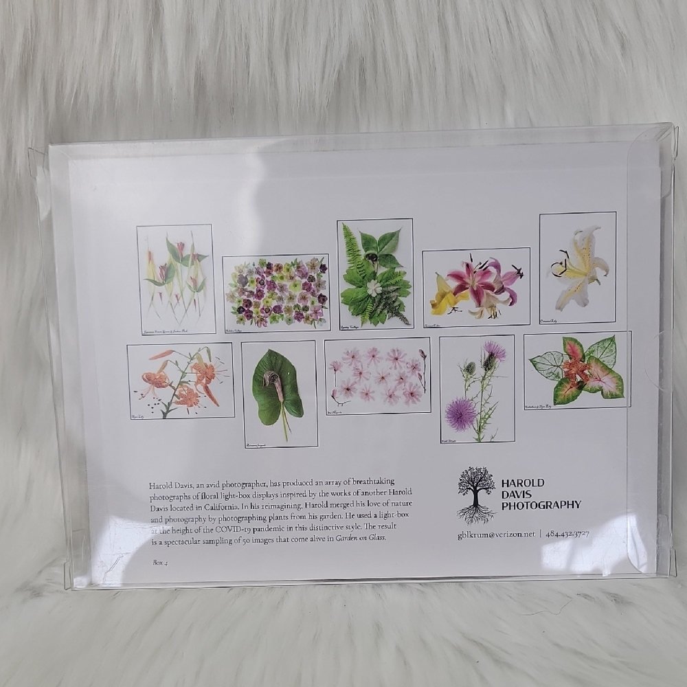 HAROLD DAVIS PHOTOGRAPHY Blank Floral‎ Green Garden Greeting Note Card Set of 10